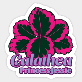 Calathea Princess Jessie Sticker